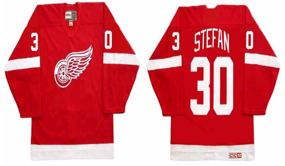 2019 Men Detroit Red Wings #30 Stefan Red CCM NHL jerseys